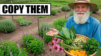 15 Healing Plants the Amish Grow for Natural Medicine