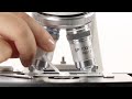 How to use a euromex 100x oil immersion objective