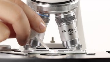 Euromex 100x oil immersion objective How to use it