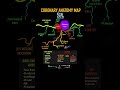Coronary Artery Anatomy 2D map. #radiology #anatomy