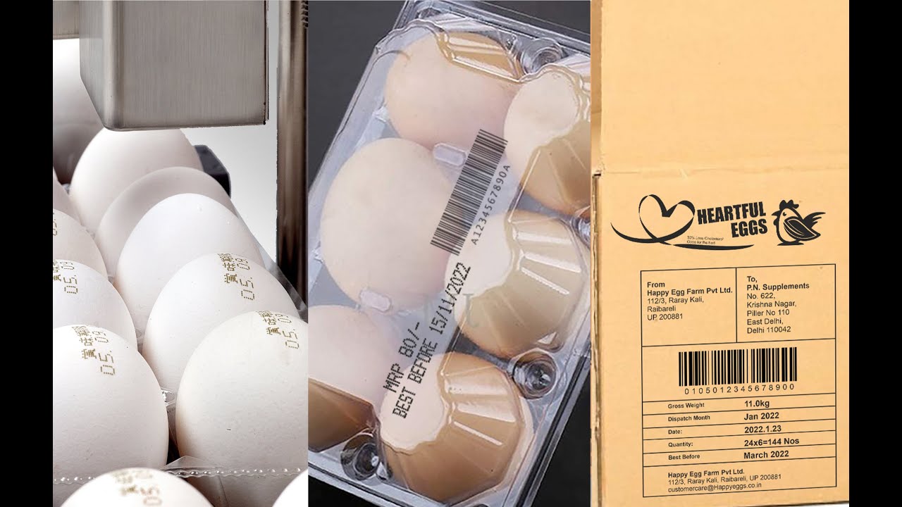 Coding on Egg (Food grade inks)