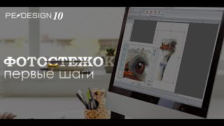 Уроки PE Design: Фотовышивка (Photostich). Страус