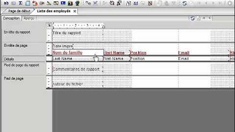 Tutoriels Crystal Reports : Insertion de champs dans un rapport