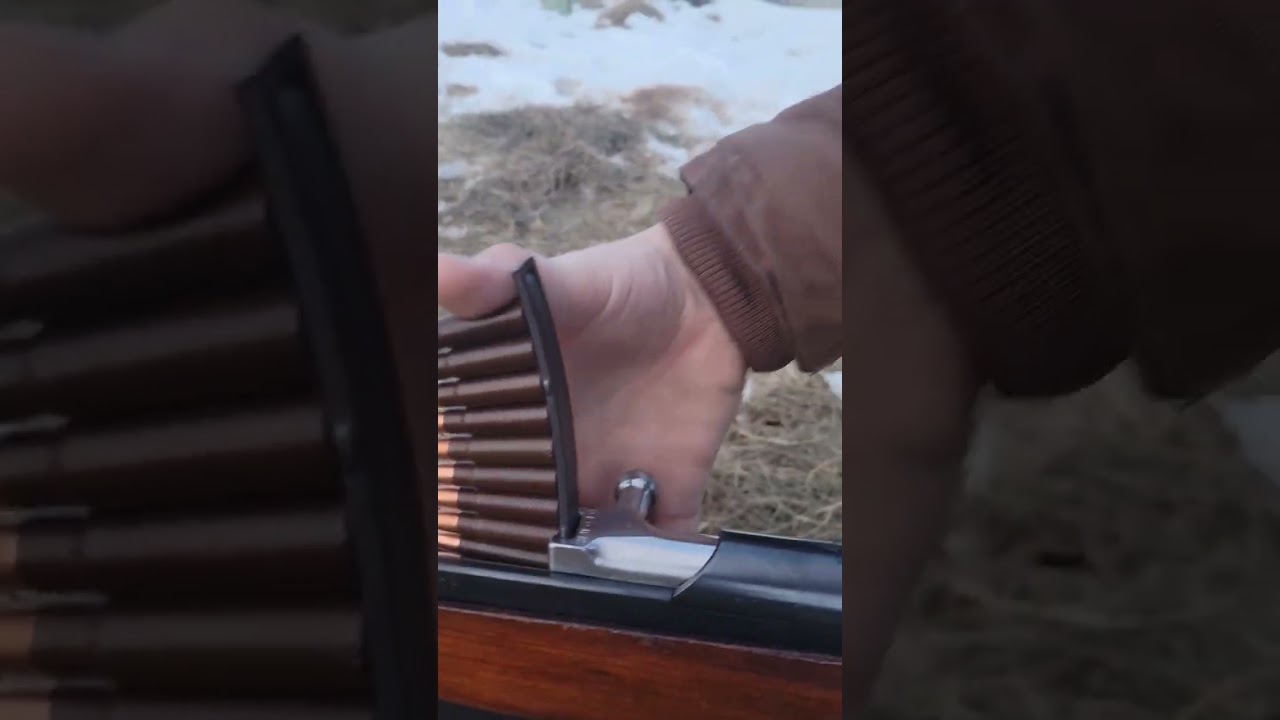 SKS stripper clip loading 