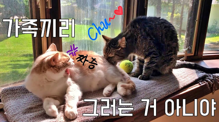 가족끼리 그러는 거 아니야