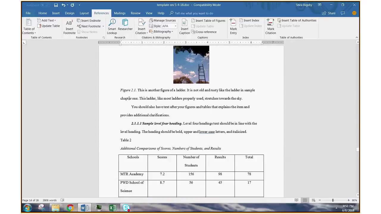 thesis figure format