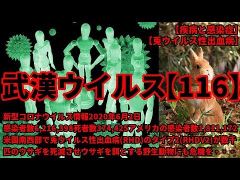 RHDVから愛兎を守る!知っておくべき予防と対策