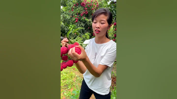 So big and so fresh Litchi fruit  #amazingchina #fruit #lychee - DayDayNews