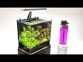 The World's Smallest Plant Aquarium #2  (2 Week Update)