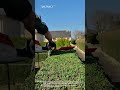 Perfect Hedge Trimming Like a Pro – Clean Lines Every Time 🌿✂️