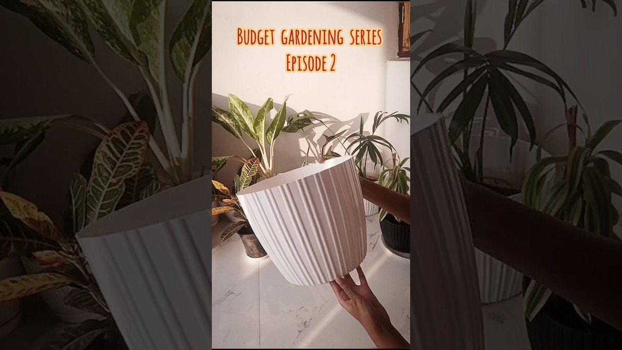 Ep 2 of gardening series: pot shopping 