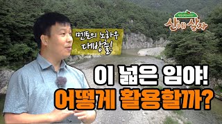 넓은 임야를 샀는데 어떻게 해야할지 모르겠다면 [산에 살자 멘토링 풀버전 Ep.4]