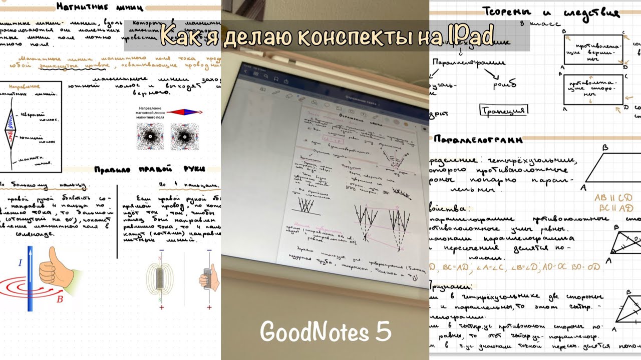 Goodnotes 5. Goodnotes конспекты. Красивые конспекты в goodnotes. Конспекты на айпаде. Как делать конспект.