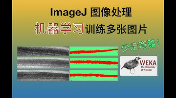 『少走弯路』ImageJ图像处理 - 机器学习训练多张图像-OCT图像分割