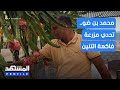 محمد بن ضو تحدي مزرعة فاكهة التنين بروفايلز محمد بن ضو تحدي مزرعة فاكهة التنين بروفايلز