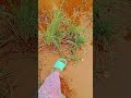 beautiful areas