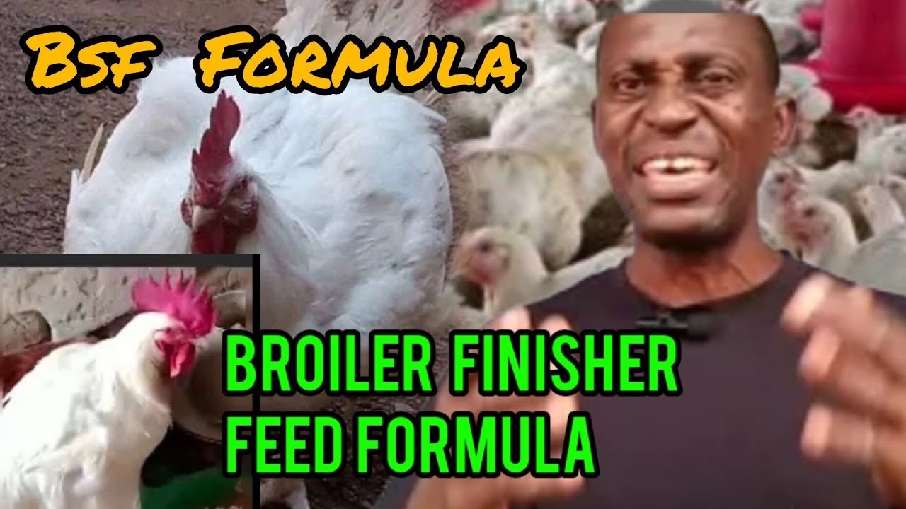 how-to-boost-broiler-growth-weight-simple-finisher-feed-formula-with