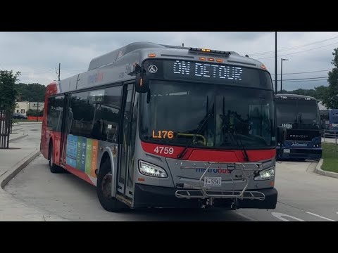 WMATA Metrobus 2023
