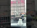 My car has a serious attitude problem