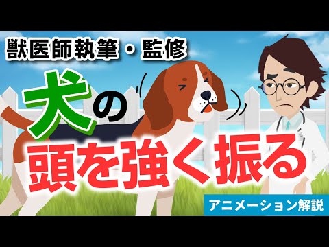 犬が首を振る原因と対策 – 飼い主が知るべき危険サイン