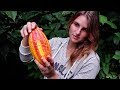 Making Chocolate - TREE TO BAR | Cacao Garden Tour