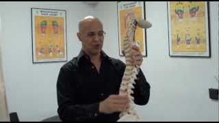 Treating Pinched Nerves and Neck Pain / Neck Stretches Exercise / Dr. Mandell