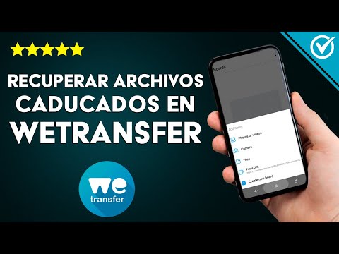 Cómo Recuperar Archivos Caducados de WeTransfer