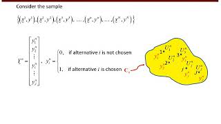 Lecture 8 - MNL Estimation