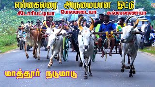 மதுரை மாவட்டம் மாத்தூர் நடுமாடு 07.12.2022 screenshot 4