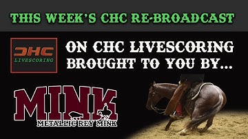 2008 NCHA SUMMER SPECTACULAR AMATEUR DERBY & CLASSIC, LTD NP & NON PRO CLASSIC AND LTD OPEN FINALS