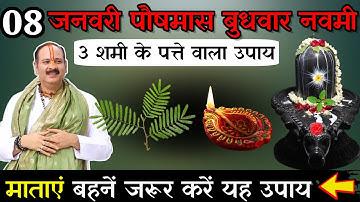 8 जनवरी पौषमास बुधवार नवमी तिथि को 3 शमी पत्ते वाला उपाय जरूर करे || Pradeep Ji Mishra