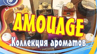 видео: Коллекция ароматов Amouage картинка: Коллекция ароматов Amouage