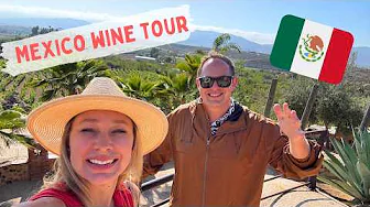 DAY TRIP to VALLE DE GUADALUPE from SAN DIEGO TOUR 🍷 🇲🇽