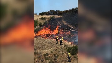Prescribed Burn Testing