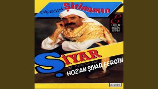 Berberî / Ez Niz An Im / Ware Min (Sana Ne Yaptım) Resimi