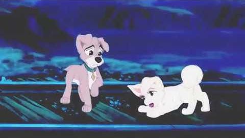 part 4 new rules Animash MEP