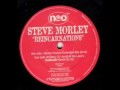 Steve morley  reincarnations dj jamx  de leons dumonde remix