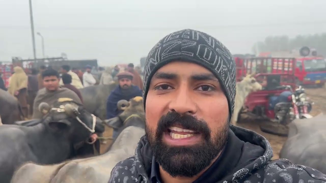 Waqar Bhinder Visit Shikupura Mandi.Mandi Bhot Garam Ay Mal Da rate Bhot Zada Ay