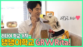 (EN/JP) 리타 학교 입학 준비 같이 해요! 🐶🐾 │ 주말연석극 EP.71