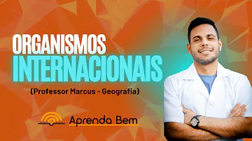 Quais são os organismos internacionais existentes e para que eles servem?