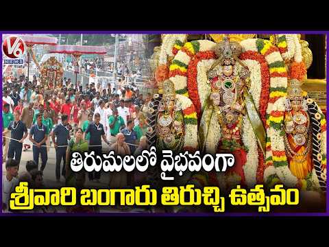 Srivari Bangaru Tiruchi Utsavam Celebrated In Grandeur in Tirumala | V6 News - V6NEWSTELUGU