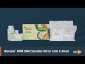 Monarch HMW DNA Extraction from Cell & Blood: Protocol Overview