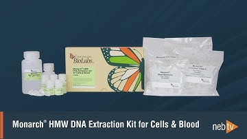 Monarch HMW DNA Extraction from Cell & Blood: Protocol Overview