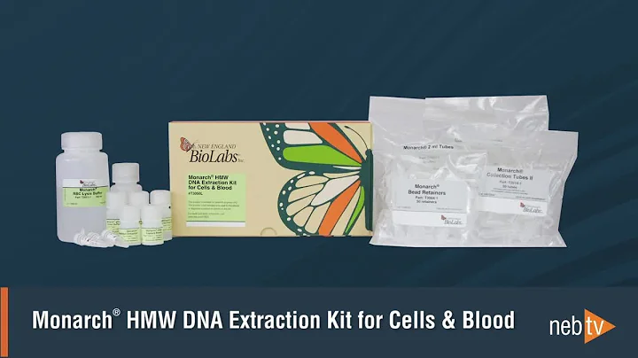 Monarch HMW DNA Extraction from Cell & Blood: Protocol Overview - DayDayNews