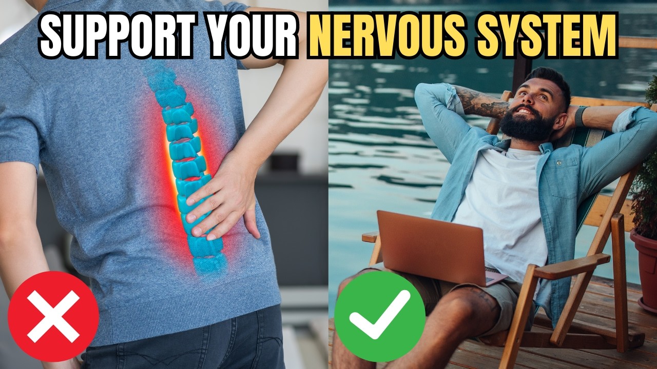 How Chiropractic Care Supports Your Nervous System! - YouTube