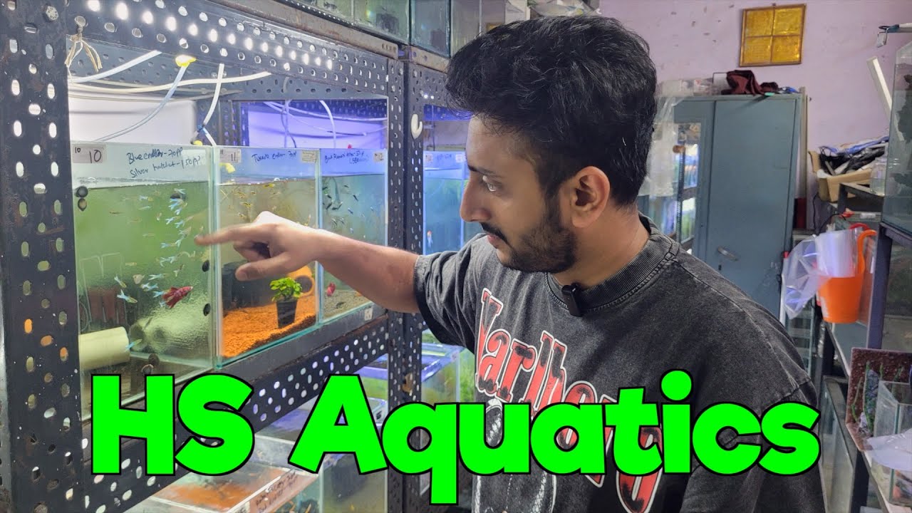 Discount Offer at HS Aquatics I Delivery available All Over India