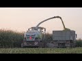 Уборка кукурузы / 2X CLAAS Jaguar 870, 860, МАЗы 5516, 5551 и др. /