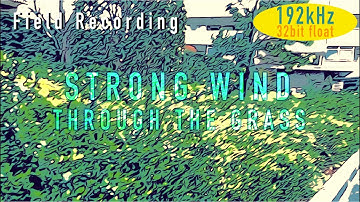 32bit float RECORDING ZOOM F8n PRO /WORKFLOW IN PROTOOLS/FIELD RECORDING STRONG WIND