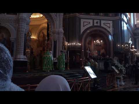 Храм Христа Спасителя.Вербное Воскресение. Святейший Патриарх Кирилл