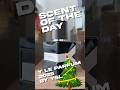🎄 Scent of the Day :: Y Le Parfum 2025 by YSL 🎄